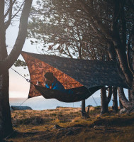 Tarp Traveller Tarp forest