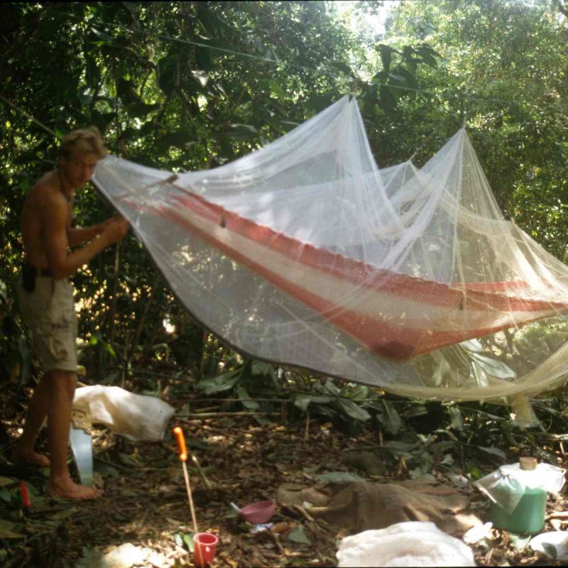 media/image/amazonas-geschichte2.jpg