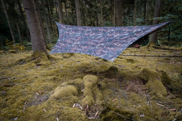 Traveller Camp Forest